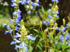 -长兴太湖图影湿地文化园