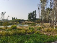 -东郊湿地公园