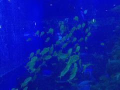 -成都浩海立方海洋公园