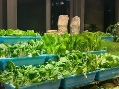 -西安W酒店·观湖露台 美式烧烤