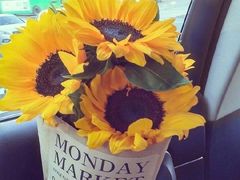 -石头先生的烤炉(济南高新万达店)