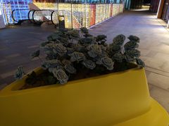 外景-泰禾中央广场-二期