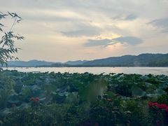 -湖畔居茶楼(湖滨店)