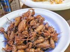 -日丰园海肠水饺·老字号大连海鲜(小平岛总店)