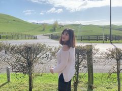 -霍比特人村