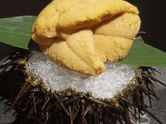 -鲤·鮨KOISUSHI