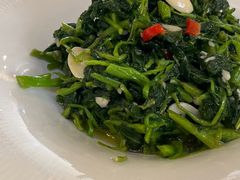 杏仁兰花苗-国强手抓(西夏区店)