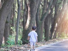 -同里国家湿地公园
