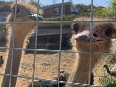 -泉州海丝野生动物世界