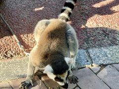 -水上乐园·欢乐世界