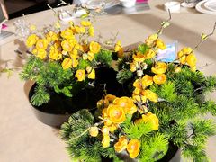 -白云宾馆-中餐厅