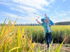 -武汉紫薇都市田园