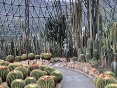 -深圳仙湖植物园
