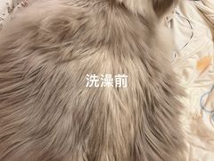 -美联众合爱康动物医院•复杂内科•肿瘤科•牙科•腔镜诊疗中心