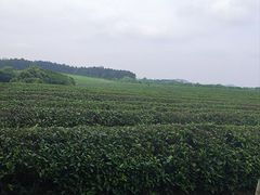 -凤凰沟景区