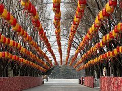 -沈阳市东陵公园