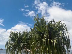 -夏威夷珍珠港