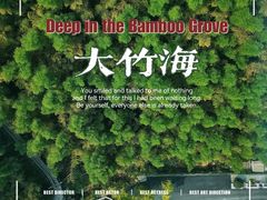 -中国大竹海景区