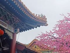 -珠海圆明新园