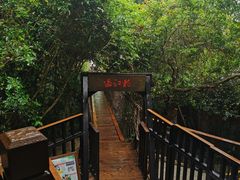 -亚龙湾热带天堂森林公园