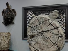 -游龙石文化科普馆