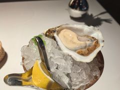 -Oyster Talks 四度蚝法餐厅