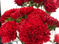 -循礼门鲜花花市(武汉循礼门店)