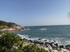 -广东惠东海龟国家级自然保护区