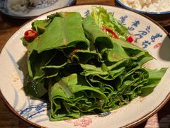 枪版油麦菜-Mountain House East Village 川山甲