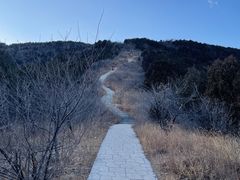 -北京西山国家森林公园