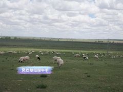 -五当召景区