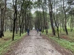 -Club Med地中海俱乐部·桂林度假村