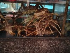 -聚福宝合苑食府(南头镇店)