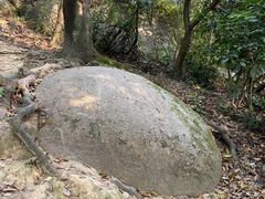 -火炉山森林公园