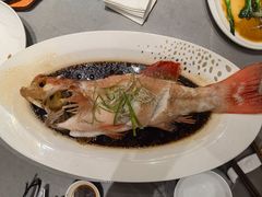 -神洲四海大酒楼(王府井澳门中心店)