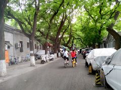 -北京国子监胡同