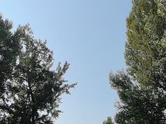 -老龙头景区