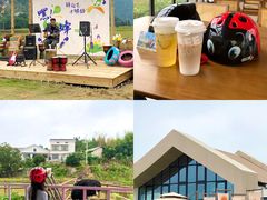 -长沙黑麋峰国家森林公园