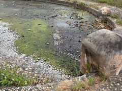 -汕头莲花山度假村温泉