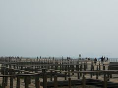 -东疆建设开发纪念公园
