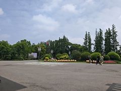 -上海长兴岛郊野公园