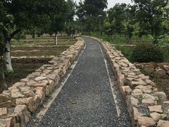 -滆湖低碳生态公园