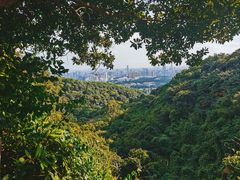 -广州市白云山风景名胜区