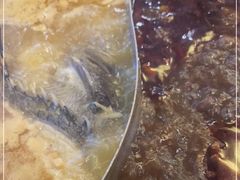 -熹悟海鲜火锅·广式打边炉