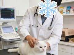 -达爱动物医院·犬猫分区·CT·复杂眼科(远洋山水分院)