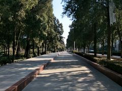 -郑州烈士陵园(二七区)