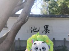-墨池公园