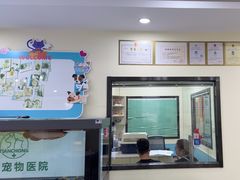 -天宠宠物医院24小时·急重症诊疗中心·全科·腔镜特色(和平分院)