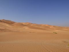 -阿布扎比沙漠皇宫酒店水疗中心