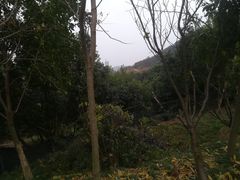 -峙山公园